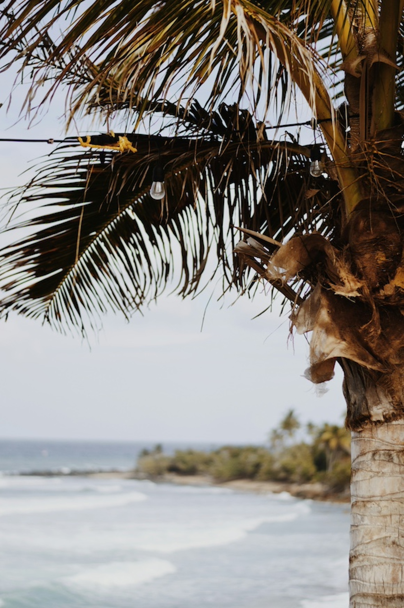 Puerto Rican Cookbook